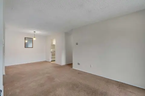 2306, 315 Southampton Drive SW photo 10
