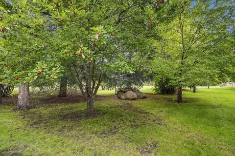 52 Canterbury Gardens SW photo 26