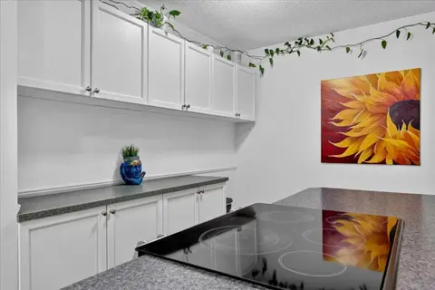 305, 11010 Bonaventure Drive SE photo 16